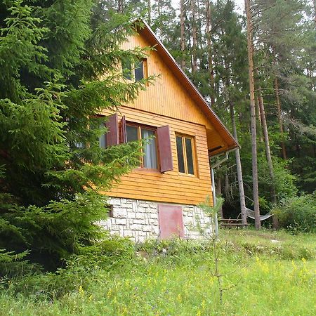 Chata Zlatka Villa Spišské Tomášovce Dış mekan fotoğraf